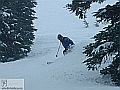 alpine_01.jpg